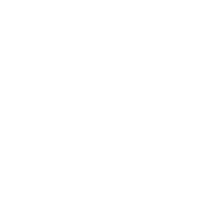 Diversified Portfolio Icon