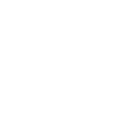 Safe & Tangible Investment Icon